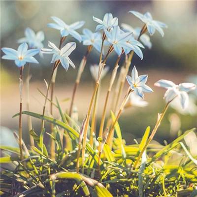 ayx在线登录入口手机app下载